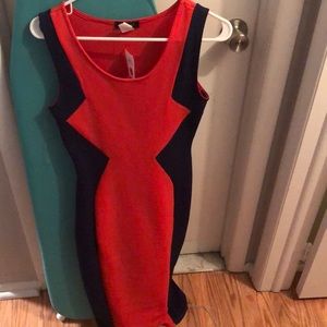 Fitted Dress